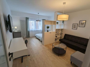 Apartament Titulescu